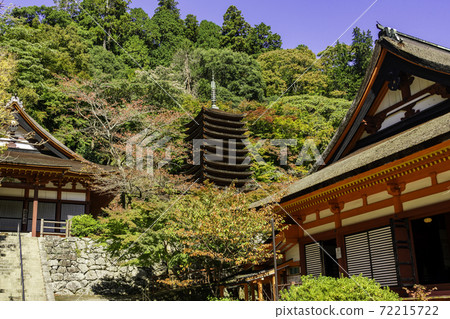 Danzan Shrine 13-storied Pagoda Sakurai City, Nara Prefecture 72215722