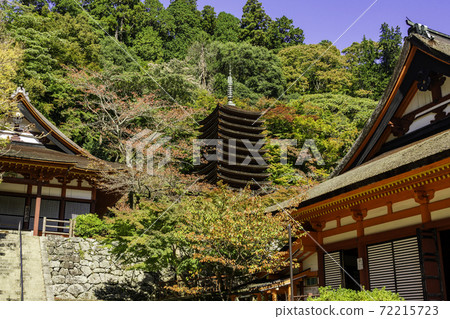 Danzan Shrine 13-storied Pagoda Sakurai City, Nara Prefecture 72215723