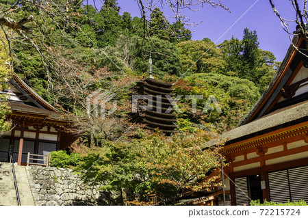 Danzan Shrine 13-storied Pagoda Sakurai City, Nara Prefecture 72215724