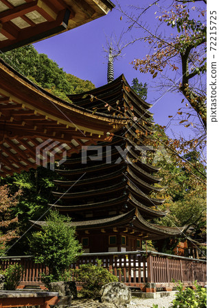 丹奈神社奈良縣櫻井市13層寶塔 72215725