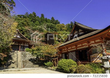 Danzan Shrine 13-storied Pagoda Sakurai City, Nara Prefecture Danzan Shrine 13-storied Pagoda Sakurai City, Nara Prefecture 72215830