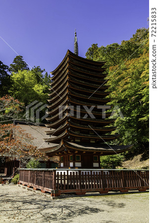Danzan Shrine 13-storied Pagoda Sakurai City, Nara Prefecture 72215833
