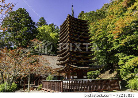 Danzan Shrine 13-storied Pagoda Sakurai City, Nara Prefecture 72215835