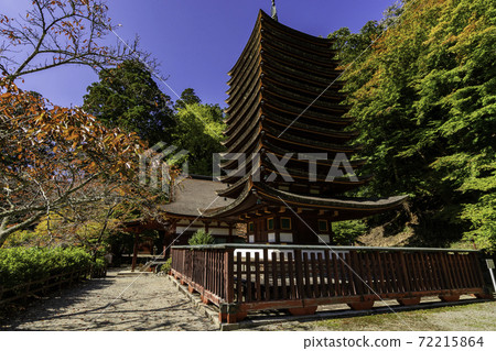 Danzan Shrine 13-storied Pagoda Sakurai City, Nara Prefecture 72215864