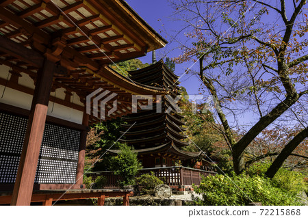 Danzan Shrine 13-storied Pagoda Sakurai City, Nara Prefecture Danzan Shrine 13-storied Pagoda Sakurai City, Nara Prefecture 72215868