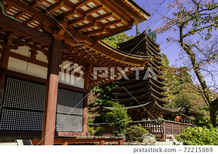 丹奈神社奈良縣櫻井市13層寶塔 72215869