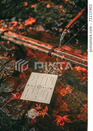 Water occupancy garden 72215903