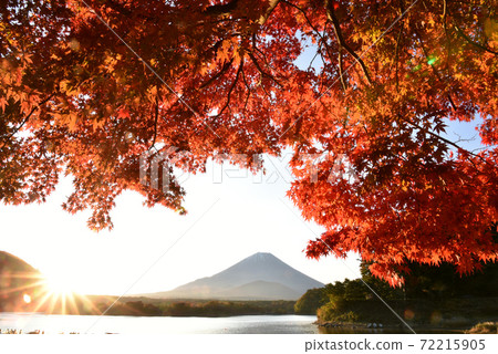 從Shoin湖黎明的富士山 72215905