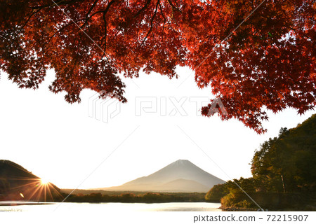Mt. Fuji at dawn from Lake Shoin Mt. Fuji at dawn from Lake Shoin 72215907