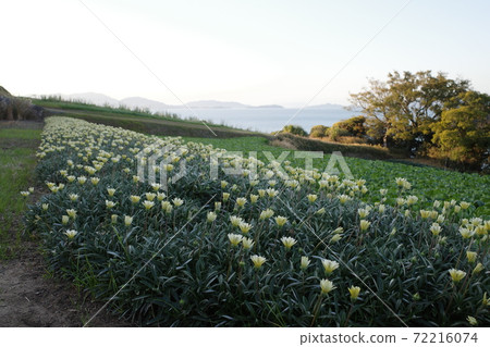 Beautiful scenery of Maejima Island in Okayama Prefecture 72216074