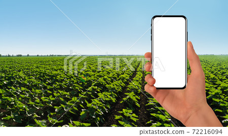 Hand with smartphone  72216094