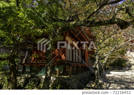 奈良縣櫻井市丹贊神社 72216452