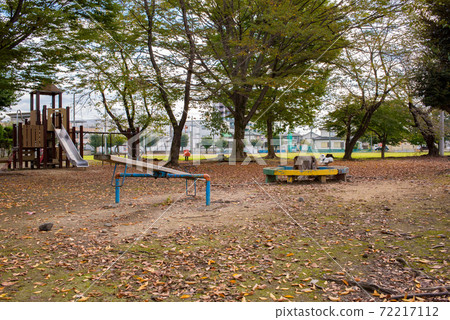 A park in a residential area with dead leaves 72217112