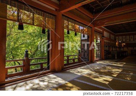 Tanzan Shrine Worship Hall Sakurai City, Nara Prefecture 72217358