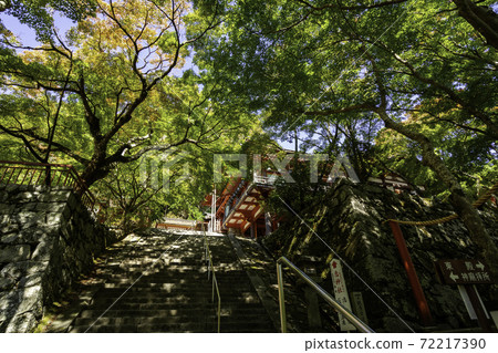 Tanzan Shrine Worship Hall Sakurai City, Nara Prefecture Tanzan Shrine Worship Hall Sakurai City, Nara Prefecture 72217390