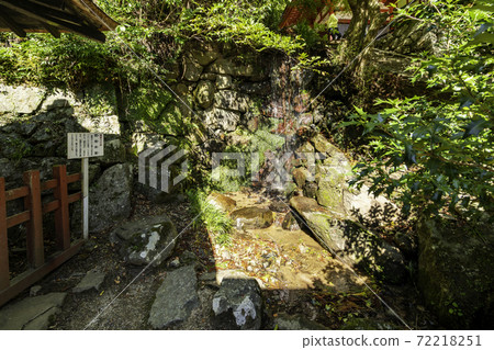 奈良縣櫻井市Kaguya的Danzan神社 72218251