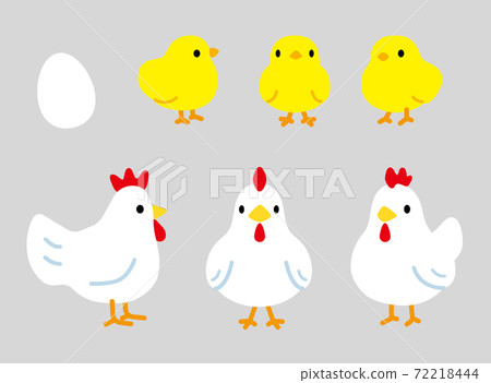 Rounded silhouette chicken and chick, side-front licking 3-way set (no line) 72218444