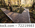 Boardwalk in the forest park 72219983