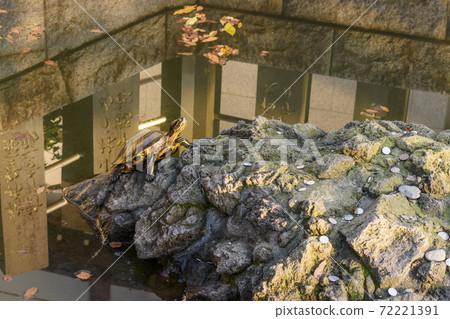 Naritasan Shinshoji Temple Nioike Turtle 72221391