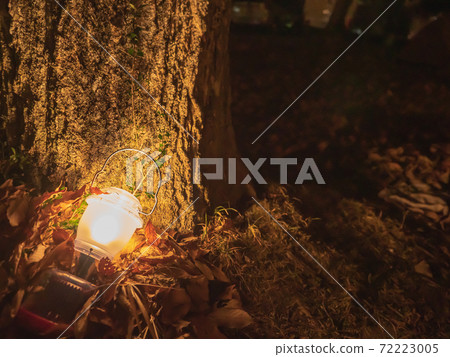 Lantern placed at the base of the tree 72223005
