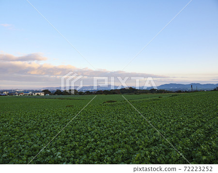 田野（冬季） 72223252