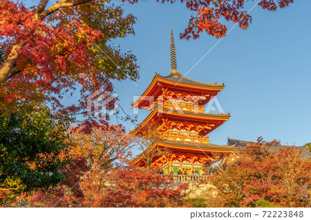 清水寺 清水寺 72223848