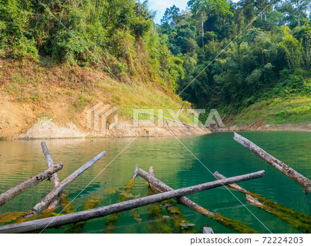 Old timber sinking in the lake (Khao Sok, Surat Thani Province, Kingdom of Thailand) 72224203