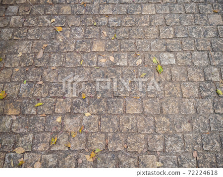 鵝卵石和落葉 72224618