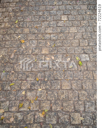 鵝卵石和落葉 72224619