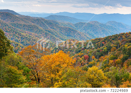 Great Smoky Mountains National Park, Tennessee, USA at the Newfound Pass Great Smoky Mountains National Park, Tennessee, USA at the Newfound Pass 72224989