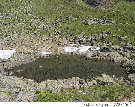 small pond from melting snow with rock and stones at alpine meadow. Tyrol, Stubai Alps, Austria 72225564