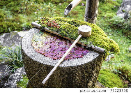 [秋天]柳屋觀音的花水 72225868