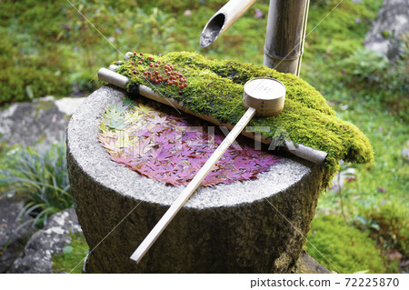 [Autumn] Yanagidani Kannon Hanatemizu 72225870