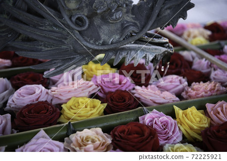 [秋天]柳屋觀音花水 72225921