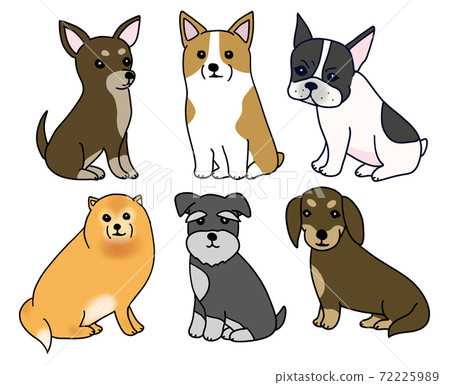 6種犬的小型犬 72225989