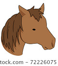 Horse  72226075