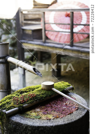 [Autumn] Yanagidani Kannon Hanatemizu and Umbrella 72226412