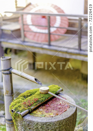 [Autumn] Yanagidani Kannon Hanatemizu and Umbrella 72226419