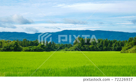 Beautifully spread green countryside surrounded by mountains Beautifully spread green countryside surrounded by mountains 72226937