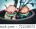 Hiroshima Prefecture Miyajima Daishoin Jizo 72228072