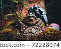 Hiroshima Prefecture Miyajima Daishoin Money Frog 72228074