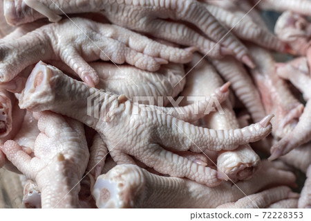 raw chicken feets for background raw chicken feets for background 72228353