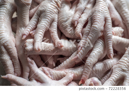 raw chicken feets for background raw chicken feets for background 72228356