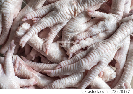 raw chicken feets for background raw chicken feets for background 72228357