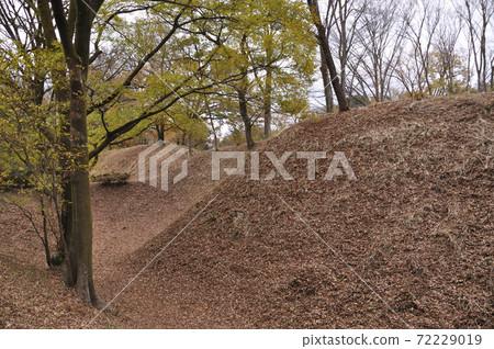 Earthworks and sky moat at the site of Sugayakan (Ranzan Town, Hiki District, Saitama Prefecture) 72229019