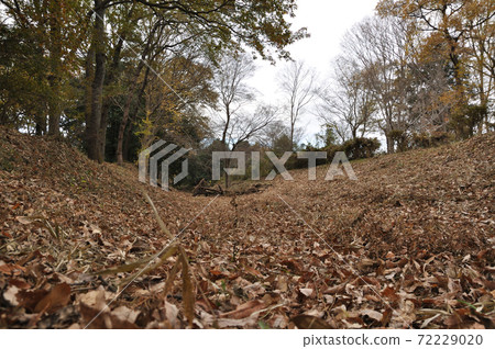 Earthworks and sky moat at the site of Sugayakan (Ranzan Town, Hiki District, Saitama Prefecture) Earthworks and sky moat at the site of Sugayakan (Ranzan Town, Hiki District, Saitama Prefecture) 72229020