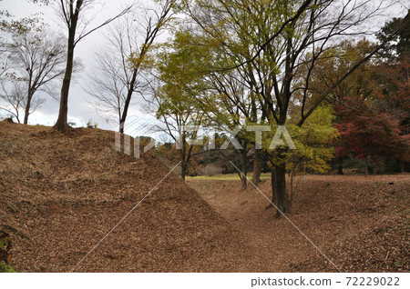 Earthworks and sky moat at the site of Sugayakan (Ranzan Town, Hiki District, Saitama Prefecture) 72229022