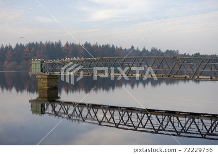 Redmires reservoir metal jetty and conifer forest reflected in water Redmires reservoir metal jetty and conifer forest reflected in water 72229736