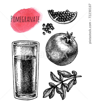 Ink sketch of pomegranate juice. Ink sketch of pomegranate juice. 72230187