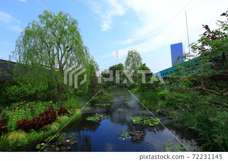 Seibu Ikebukuro Aerial Garden "Food and Green Aerial Garden" Water Lilies Garden 72231145